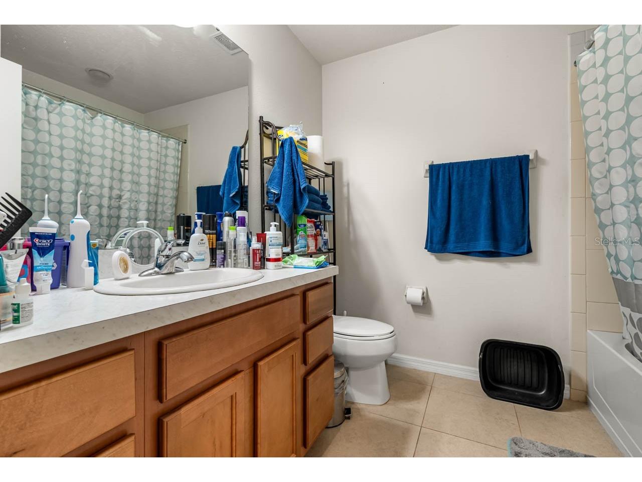 2121 Broadway View Avenue Brandon FL 33510 TB8514712 image21