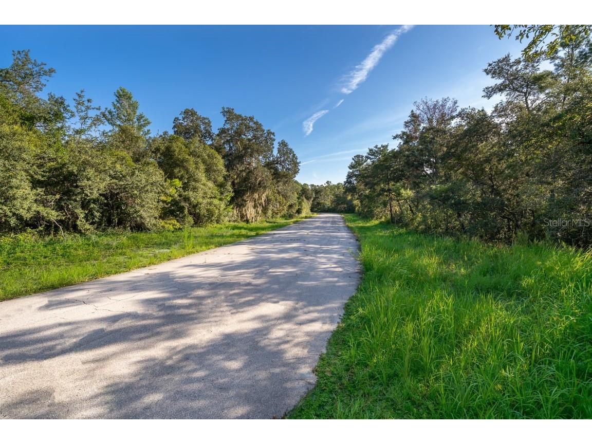 2121 Capri Circle Deltona FL 32738 O6334859 image12