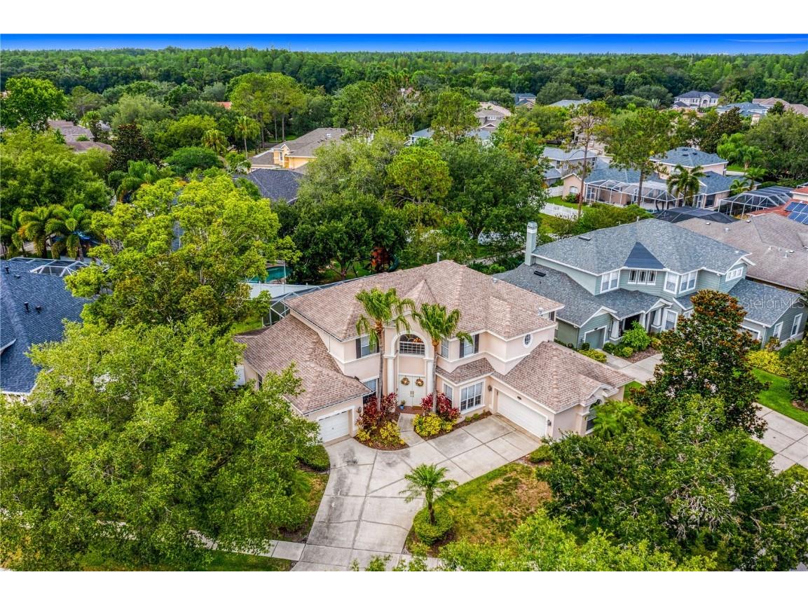 2121 Chestnut Forest Drive Tampa FL 33618 T3450054 image1