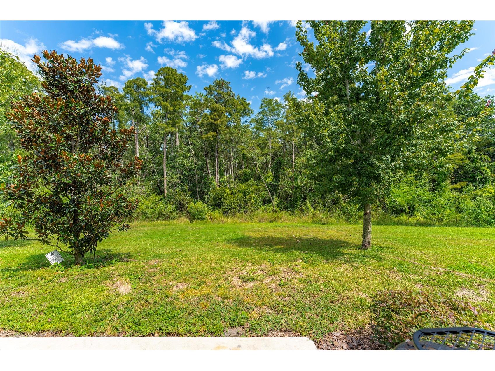 2121 Crystal Bell Street Orlando FL 32824 S5134891 image37