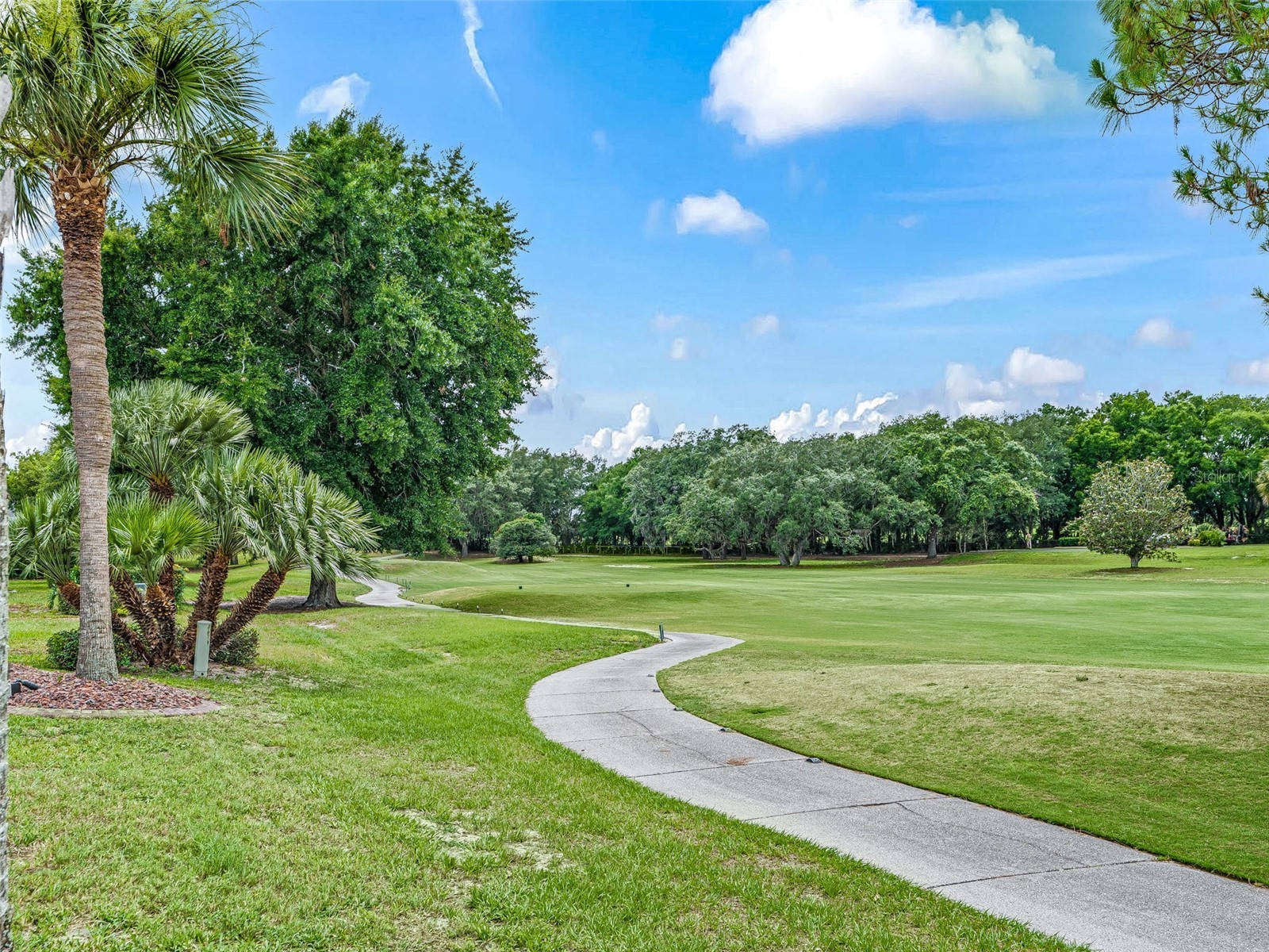 2121 Gerardo Avenue The Villages FL 32159 G5112843 image37