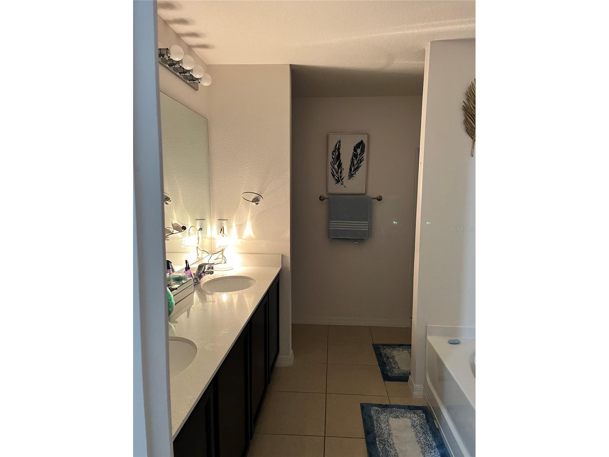 2121 Hibiscus Place Kissimmee FL 34759 S5147765 image14