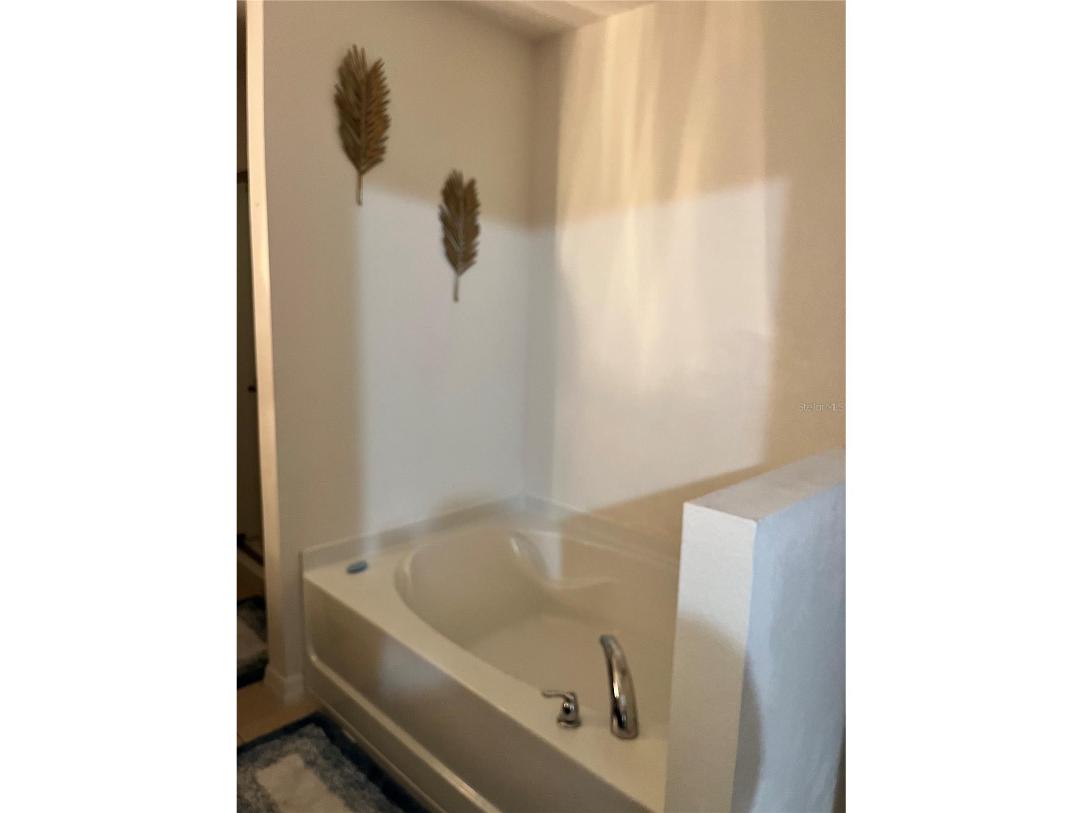 2121 Hibiscus Place Kissimmee FL 34759 S5147765 image16