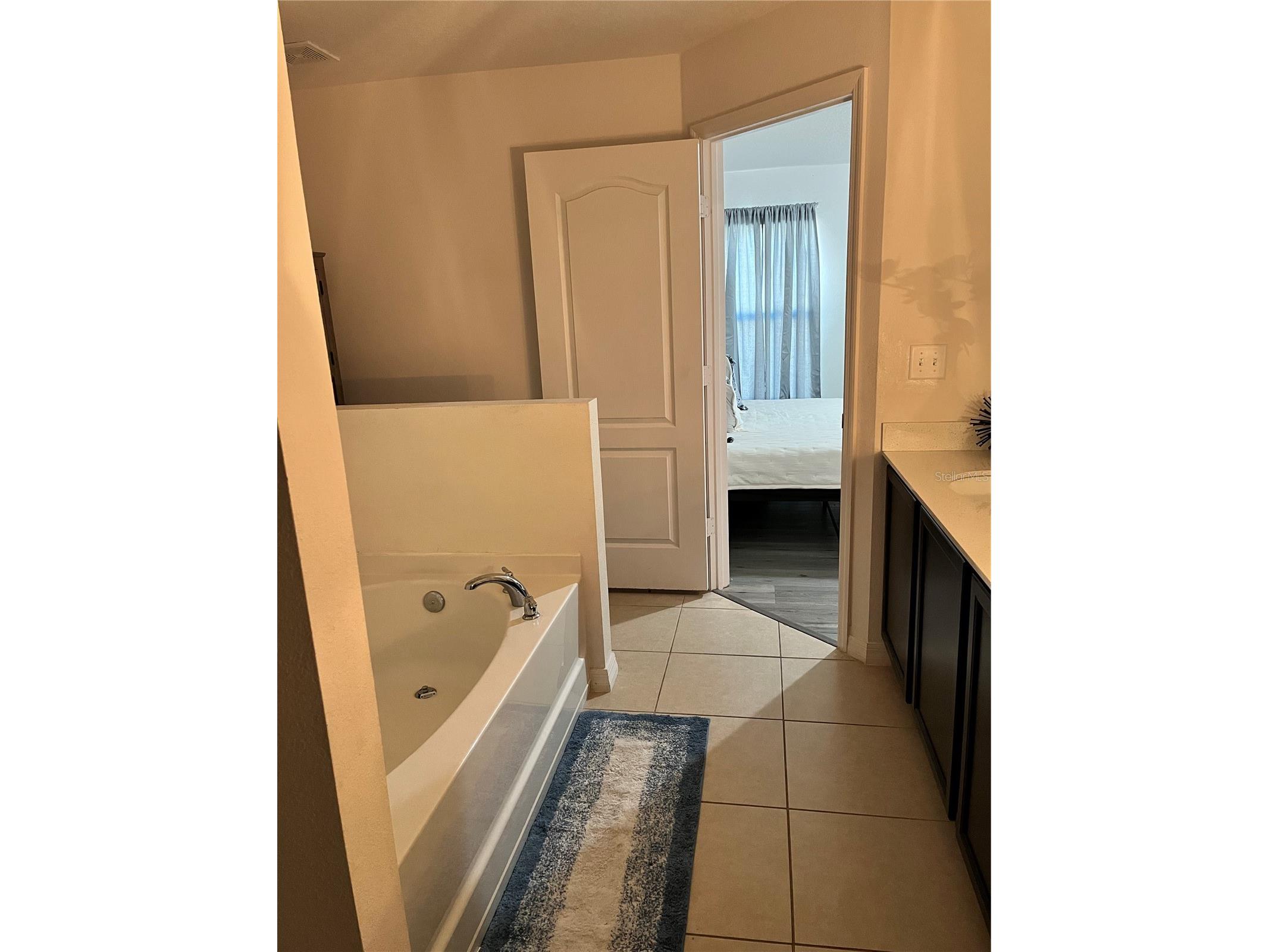 2121 Hibiscus Place Kissimmee FL 34759 S5147765 image17