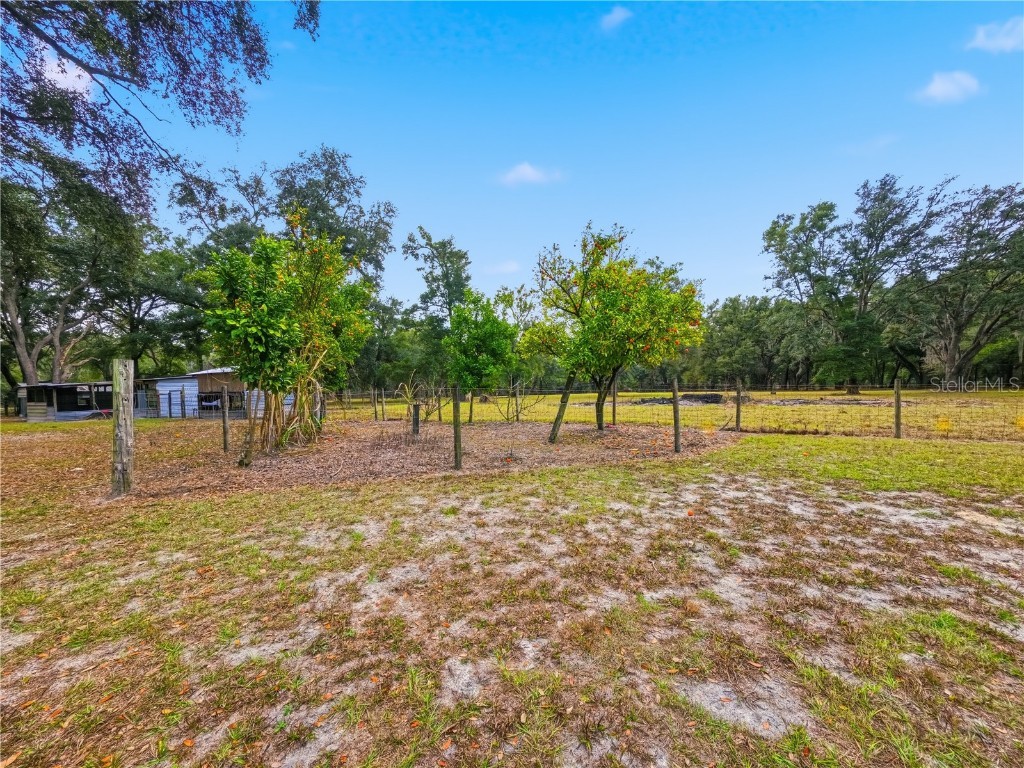 21210 137th Drive O'Brien FL 32071 TB8461474 image22
