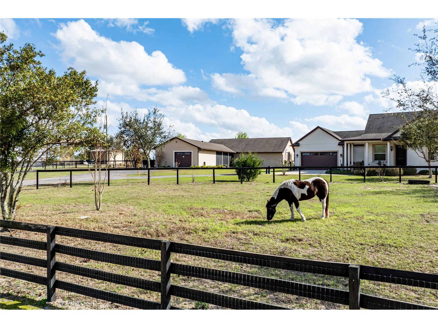 21210 Horse Ranch Rd Mount Dora FL 32757 - Lake of The Woods G5109273 image6