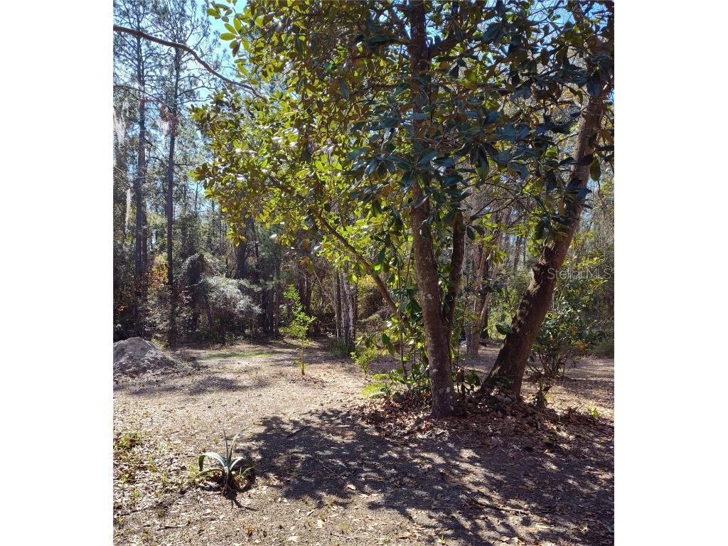 21215 SE 111th Avenue Hawthorne FL 32640 GC533408 image11