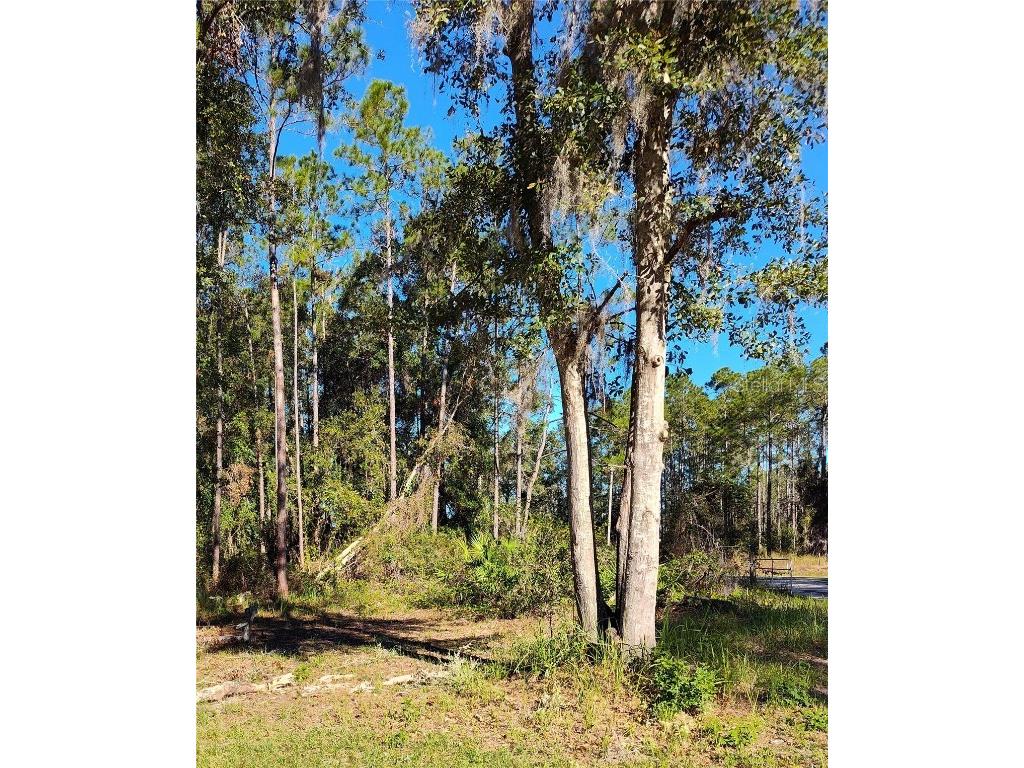 21215 SE 111th Avenue Hawthorne FL 32640 GC533408 image8