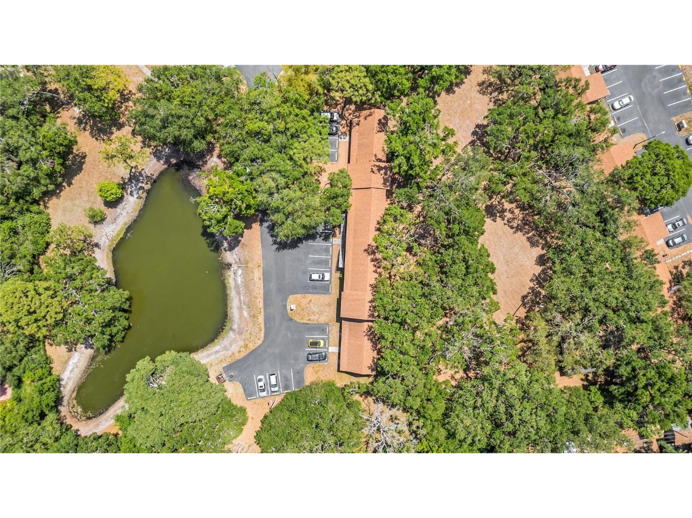 2122 Bradford Street #505 Clearwater FL 33760 TB8374535 image18