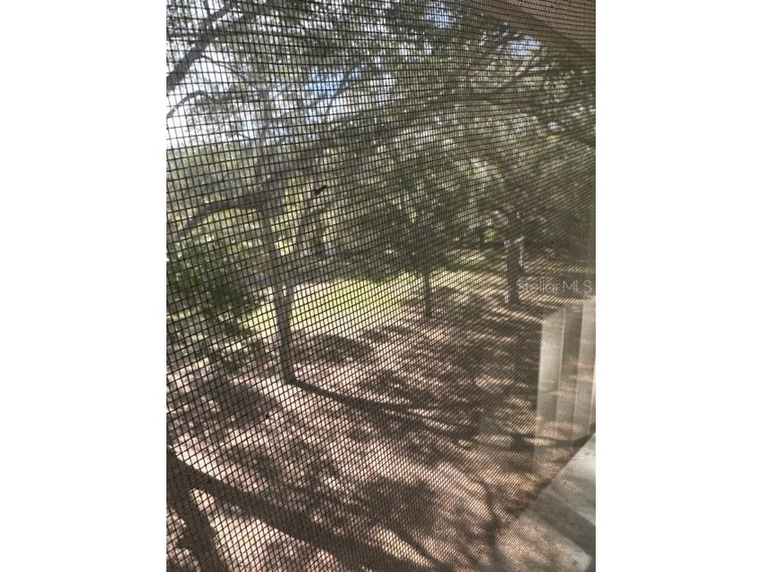 2122 Bradford Street #521 Clearwater FL 33760 TB8508733 image13