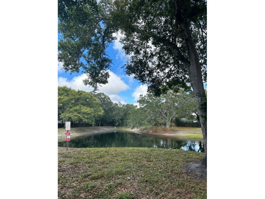 2122 Bradford Street #521 Clearwater FL 33760 TB8508733 image14
