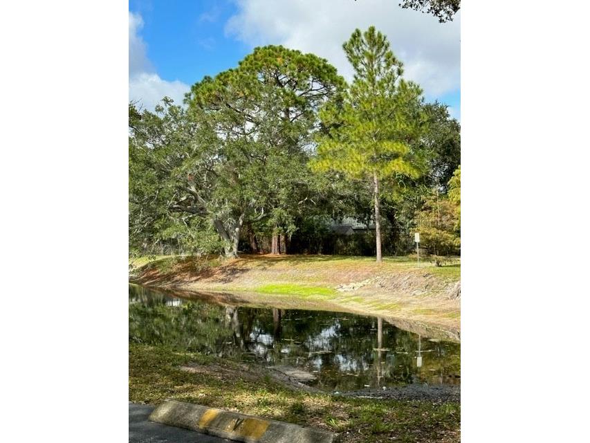 2122 Bradford Street #521 Clearwater FL 33760 TB8508733 image15