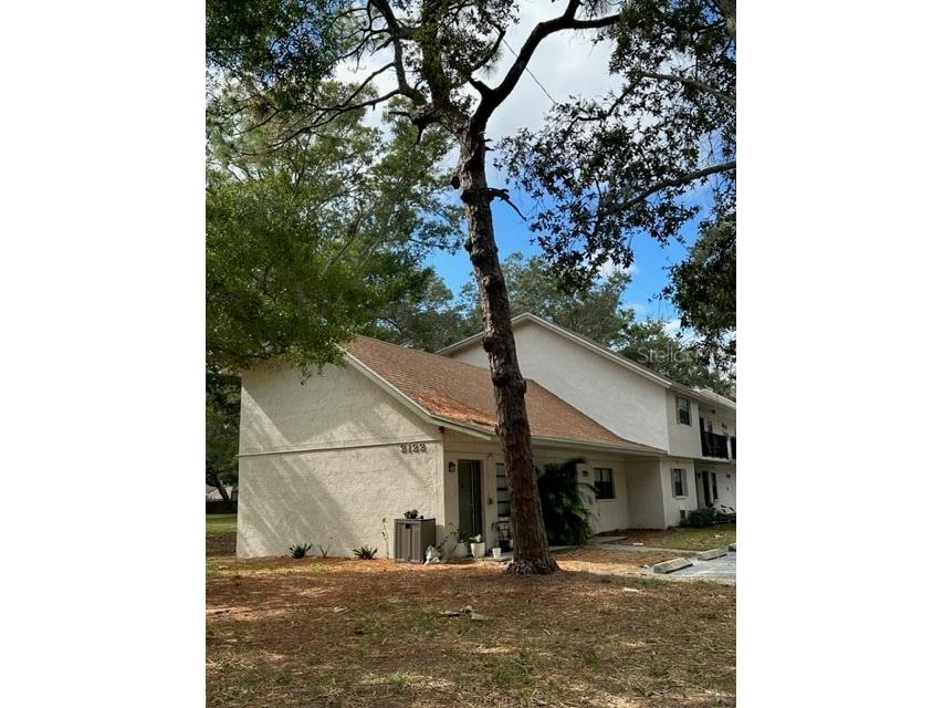 2122 Bradford Street #521 Clearwater FL 33760 TB8508733 image2