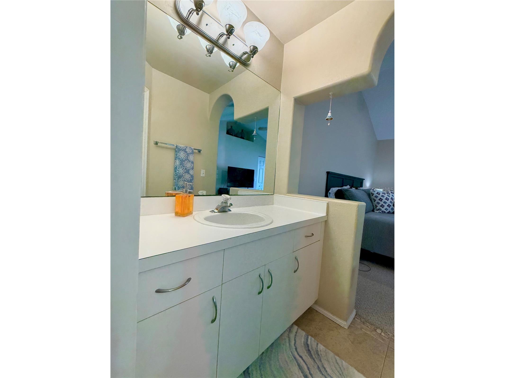 2122 Clover Hill Road Palm Harbor FL 34683 W7885061 image28