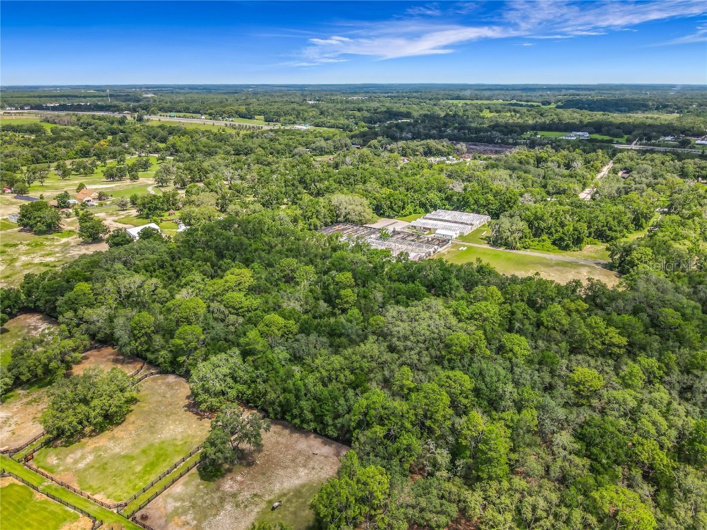 2122 Haas Road Apopka FL 32712 G5098271 image13