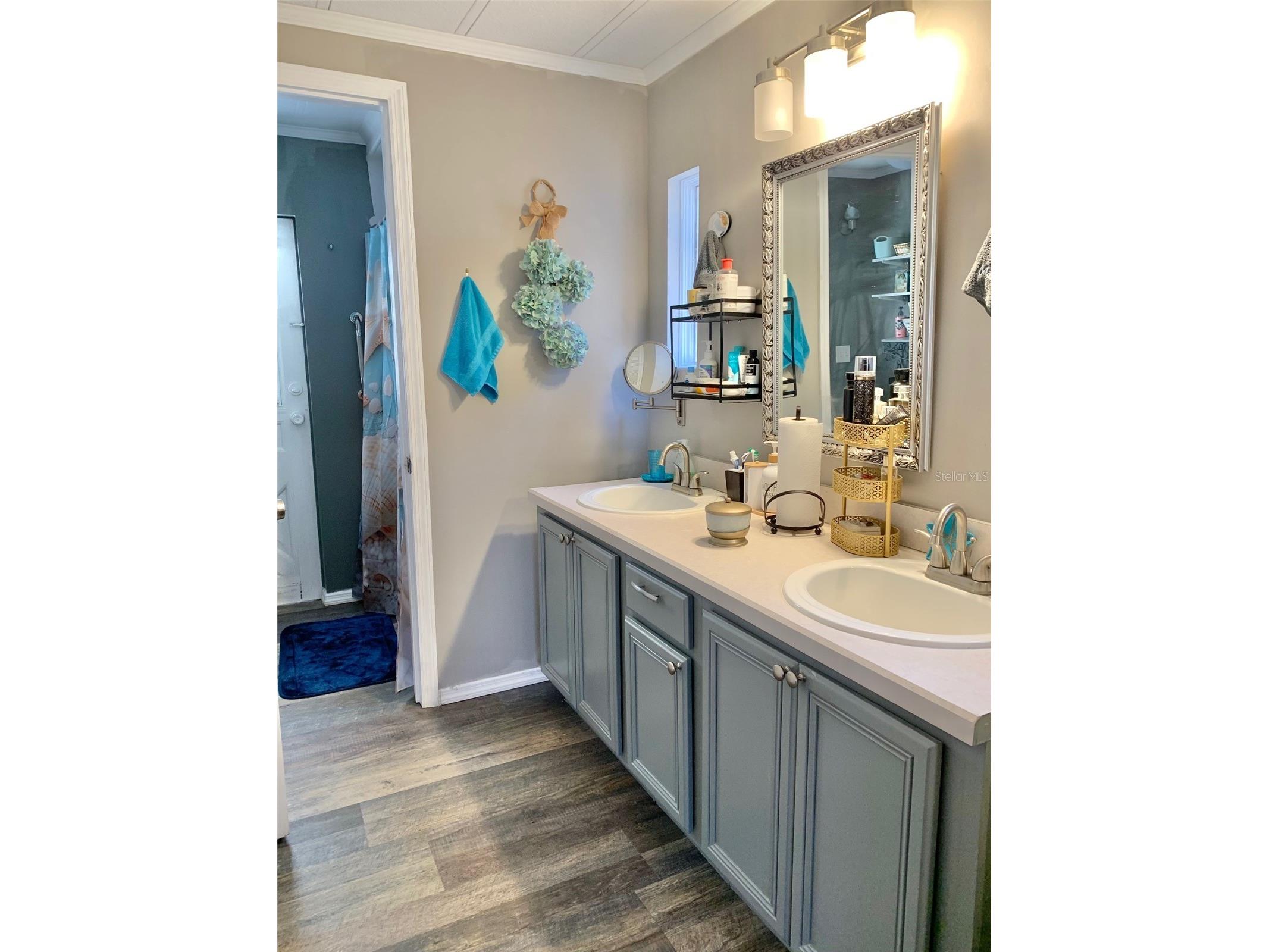 2122 Oak Grove Drive #79 Zellwood FL 32798 - LAKE GRASMERE AND LAKE COHEN O6383752 image3