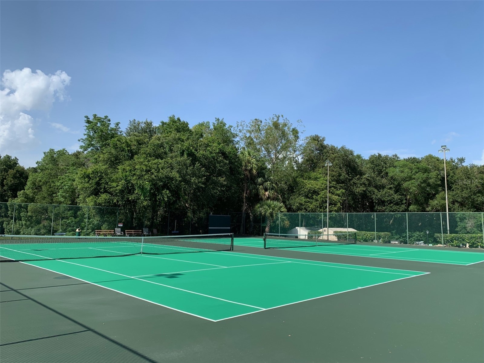 2122 Oak Grove Drive #79 Zellwood FL 32798 - LAKE GRASMERE AND LAKE COHEN O6383752 image31