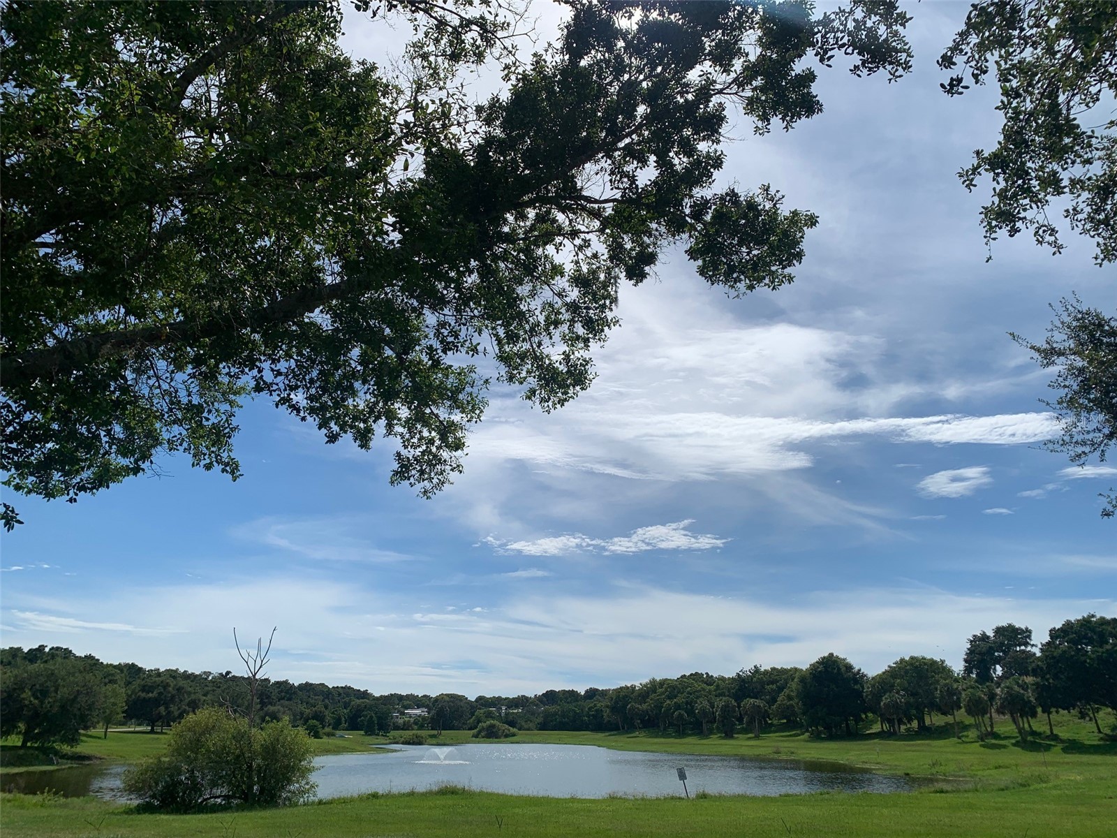 2122 Oak Grove Drive #79 Zellwood FL 32798 - LAKE GRASMERE AND LAKE COHEN O6383752 image33