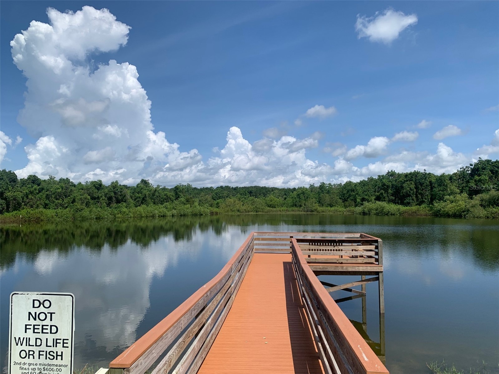 2122 Oak Grove Drive #79 Zellwood FL 32798 - LAKE GRASMERE AND LAKE COHEN O6383752 image34