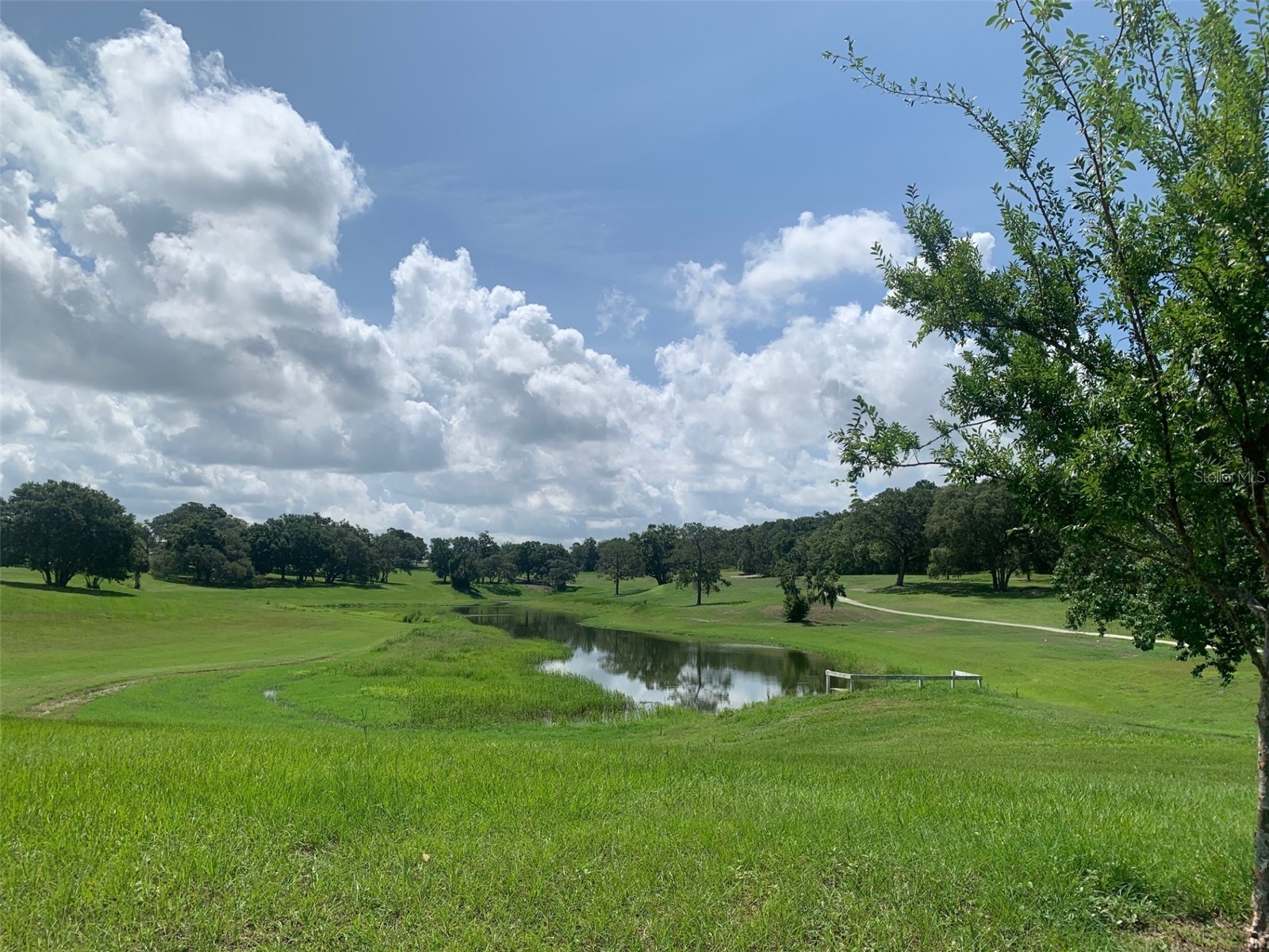 2122 Oak Grove Drive #79 Zellwood FL 32798 - LAKE GRASMERE AND LAKE COHEN O6383752 image36
