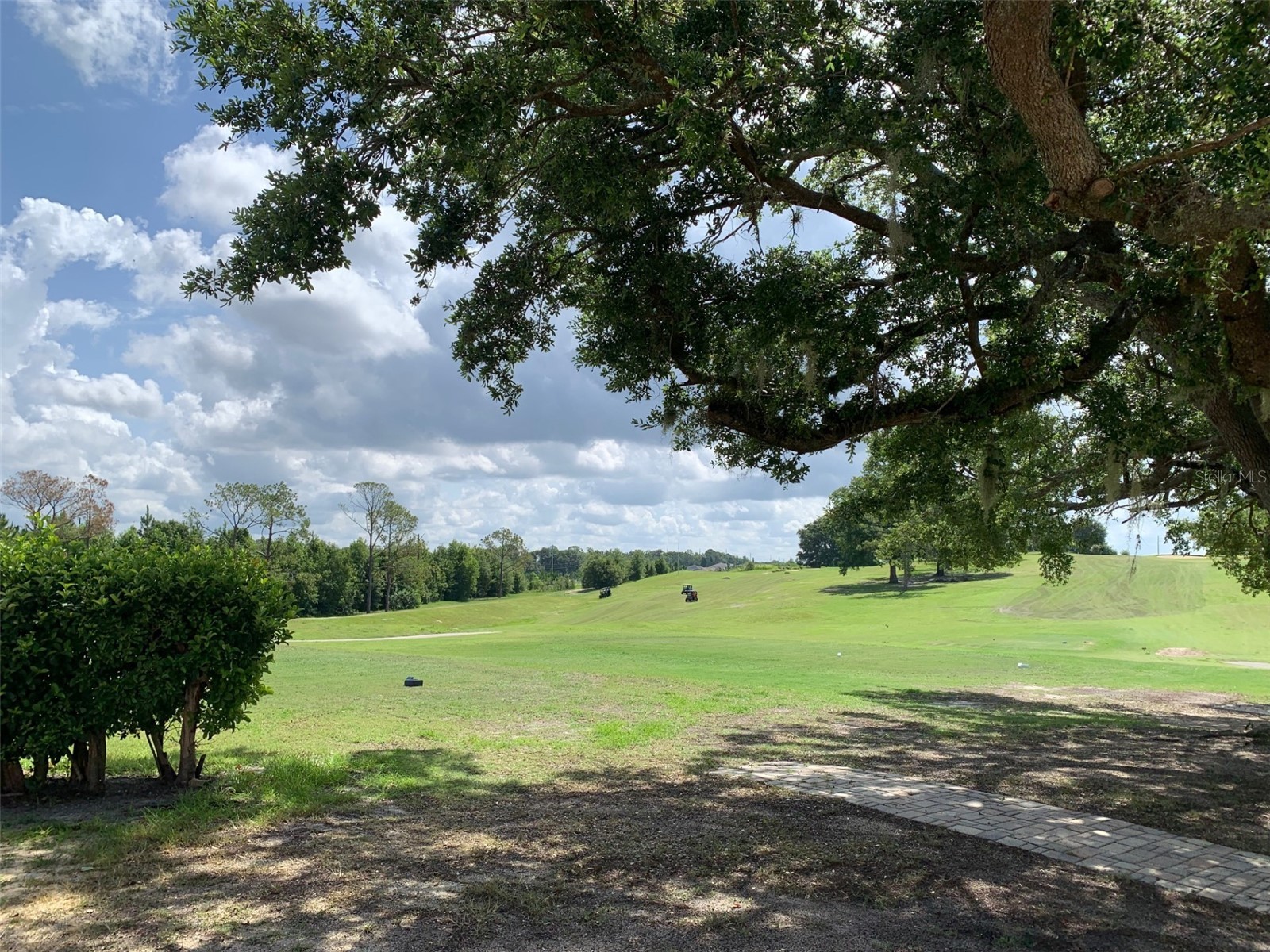 2122 Oak Grove Drive #79 Zellwood FL 32798 - LAKE GRASMERE AND LAKE COHEN O6383752 image45