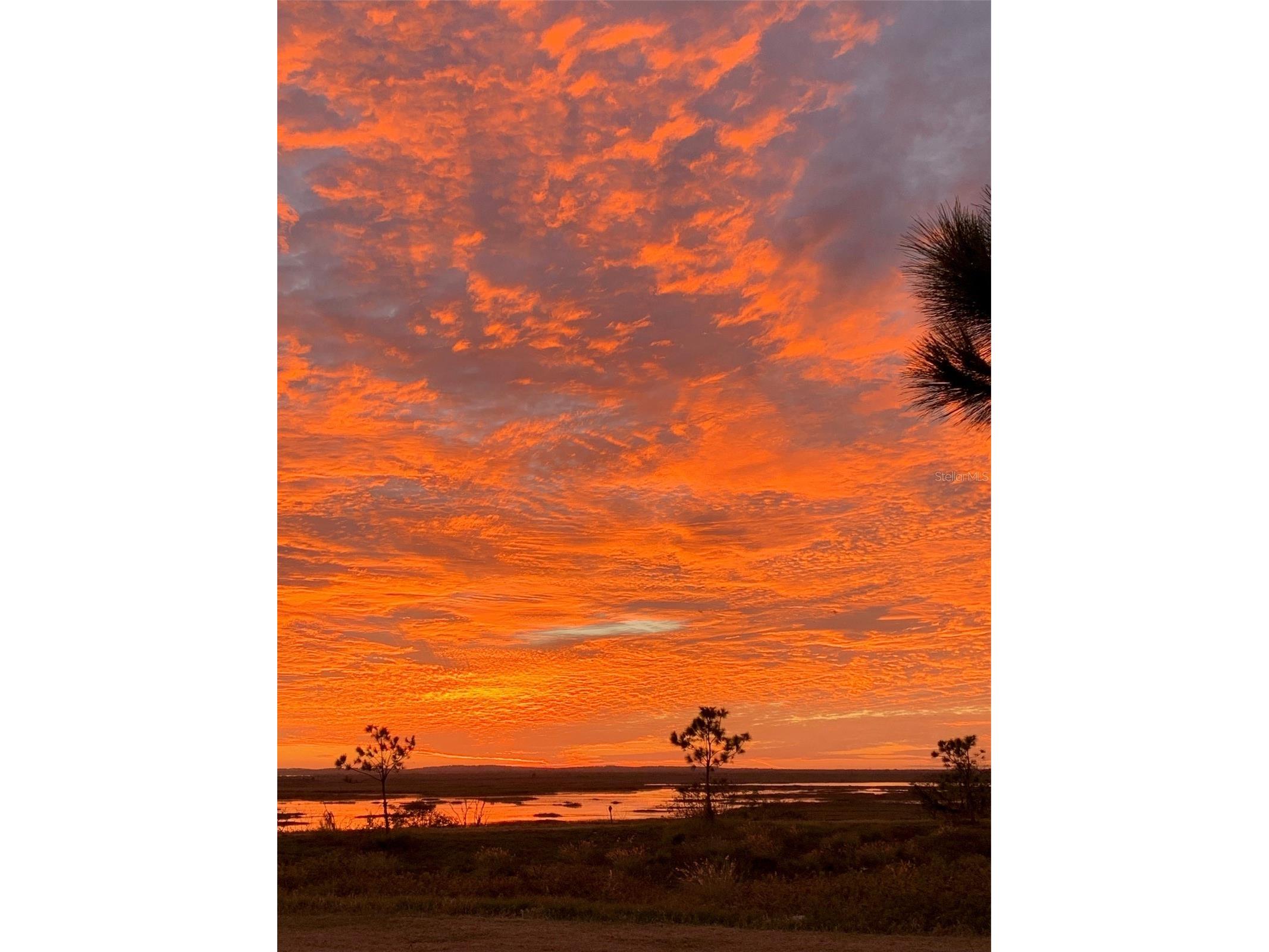 2122 Oak Grove Drive #79 Zellwood FL 32798 - LAKE GRASMERE AND LAKE COHEN O6383752 image48