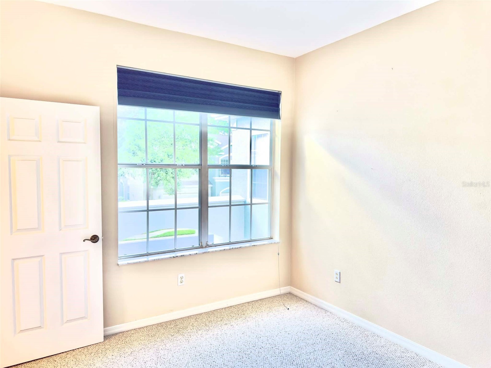 2122 Park Crescent Drive Land O Lakes FL 34639 TB8495111 image22