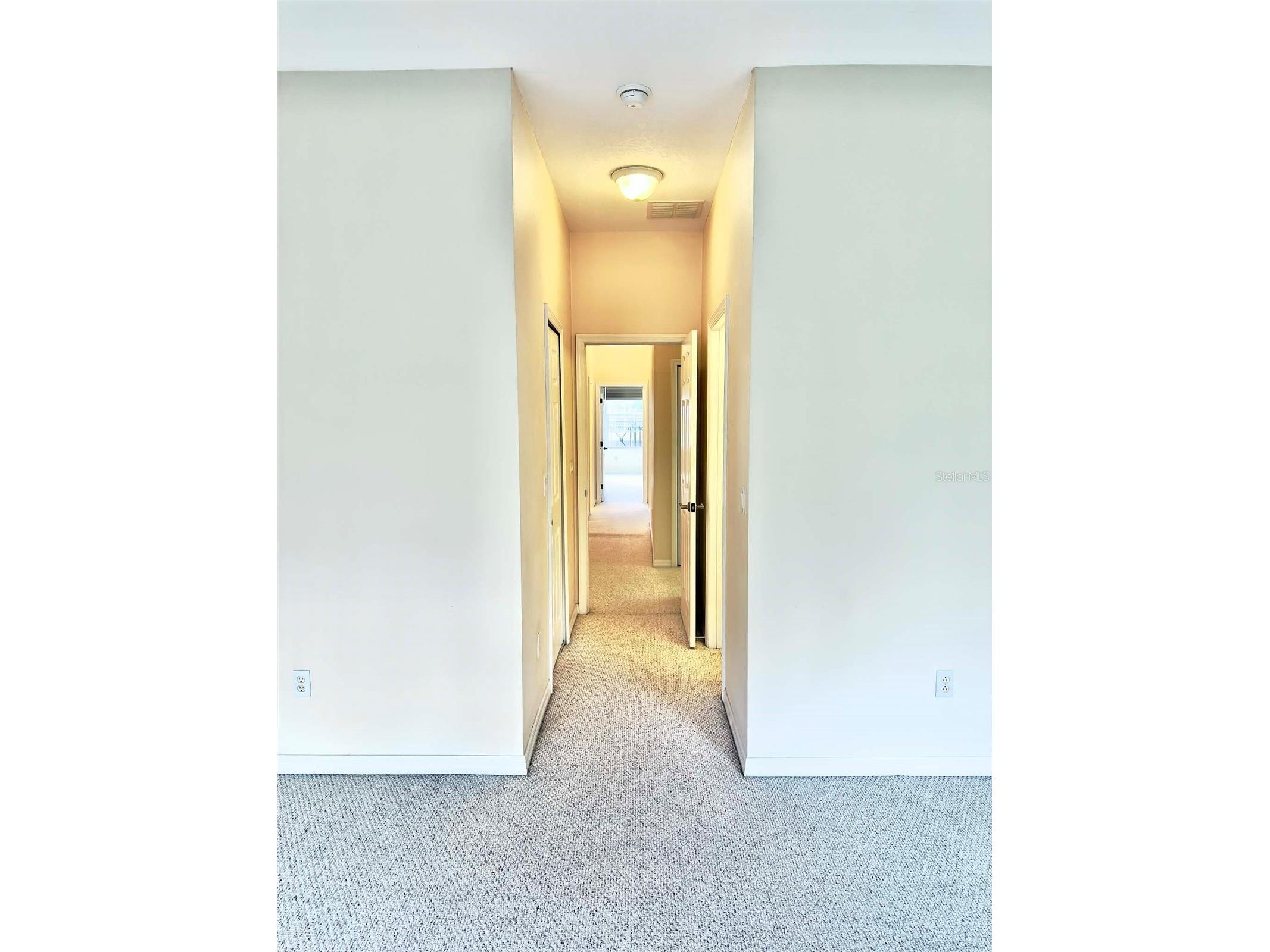 2122 Park Crescent Drive Land O Lakes FL 34639 TB8495111 image26