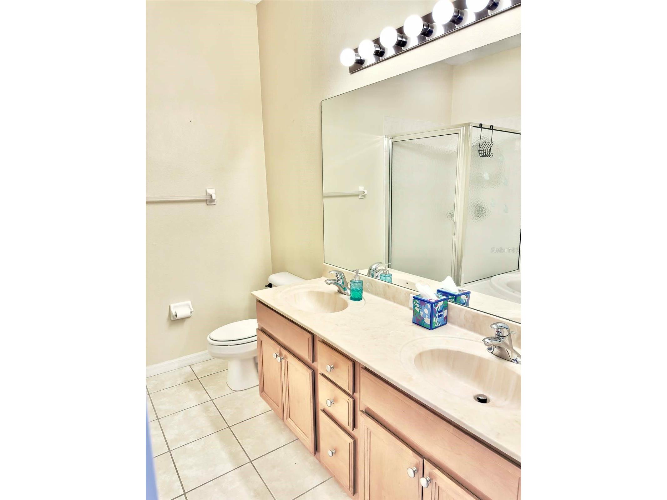 2122 Park Crescent Drive Land O Lakes FL 34639 TB8495111 image28