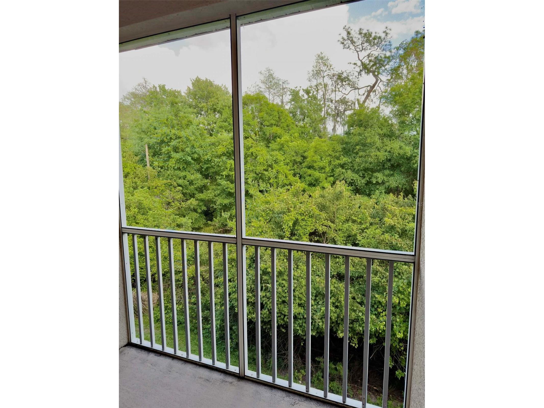 2122 Park Crescent Drive Land O Lakes FL 34639 TB8495111 image6