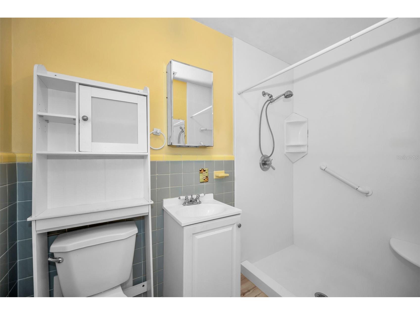 2122 W Erna Drive Tampa FL 33603 TB8463484 image28