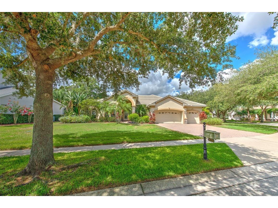 21220 Sky Vista Drive Land O Lakes FL 34637 T3532335 image1