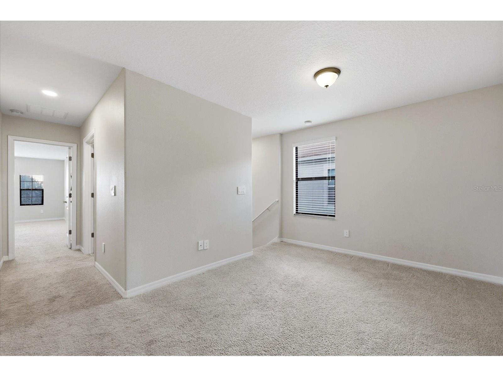 21223 Wistful Yearn Drive Land O Lakes FL 34637 TB8483283 image16