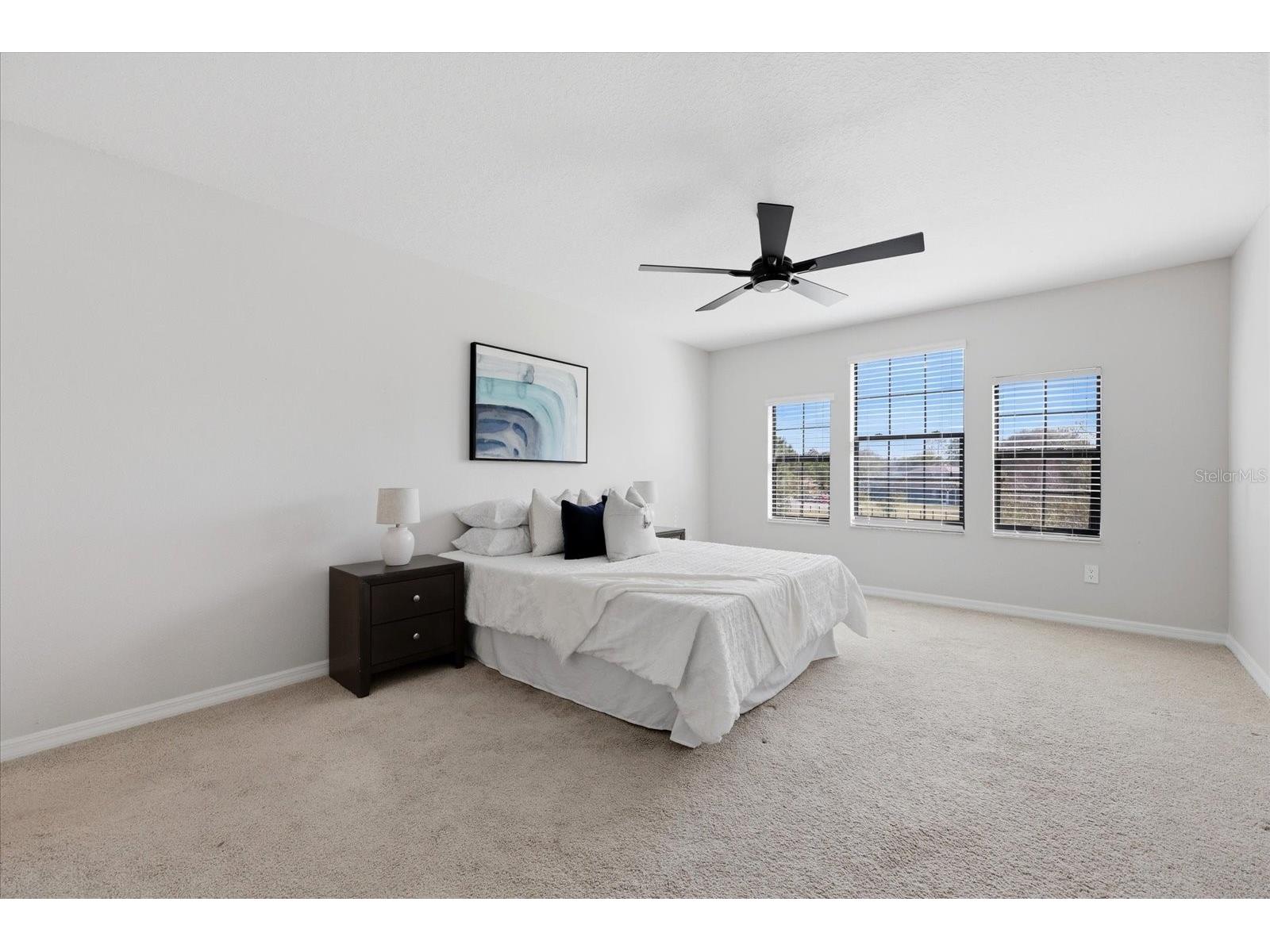 21223 Wistful Yearn Drive Land O Lakes FL 34637 TB8483283 image17