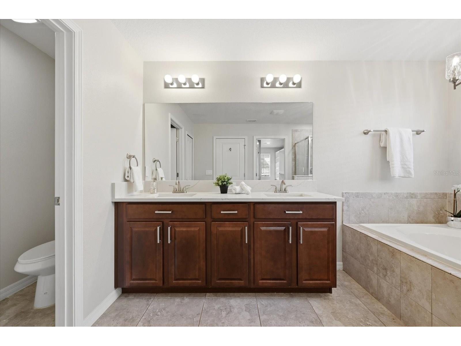 21223 Wistful Yearn Drive Land O Lakes FL 34637 TB8483283 image21