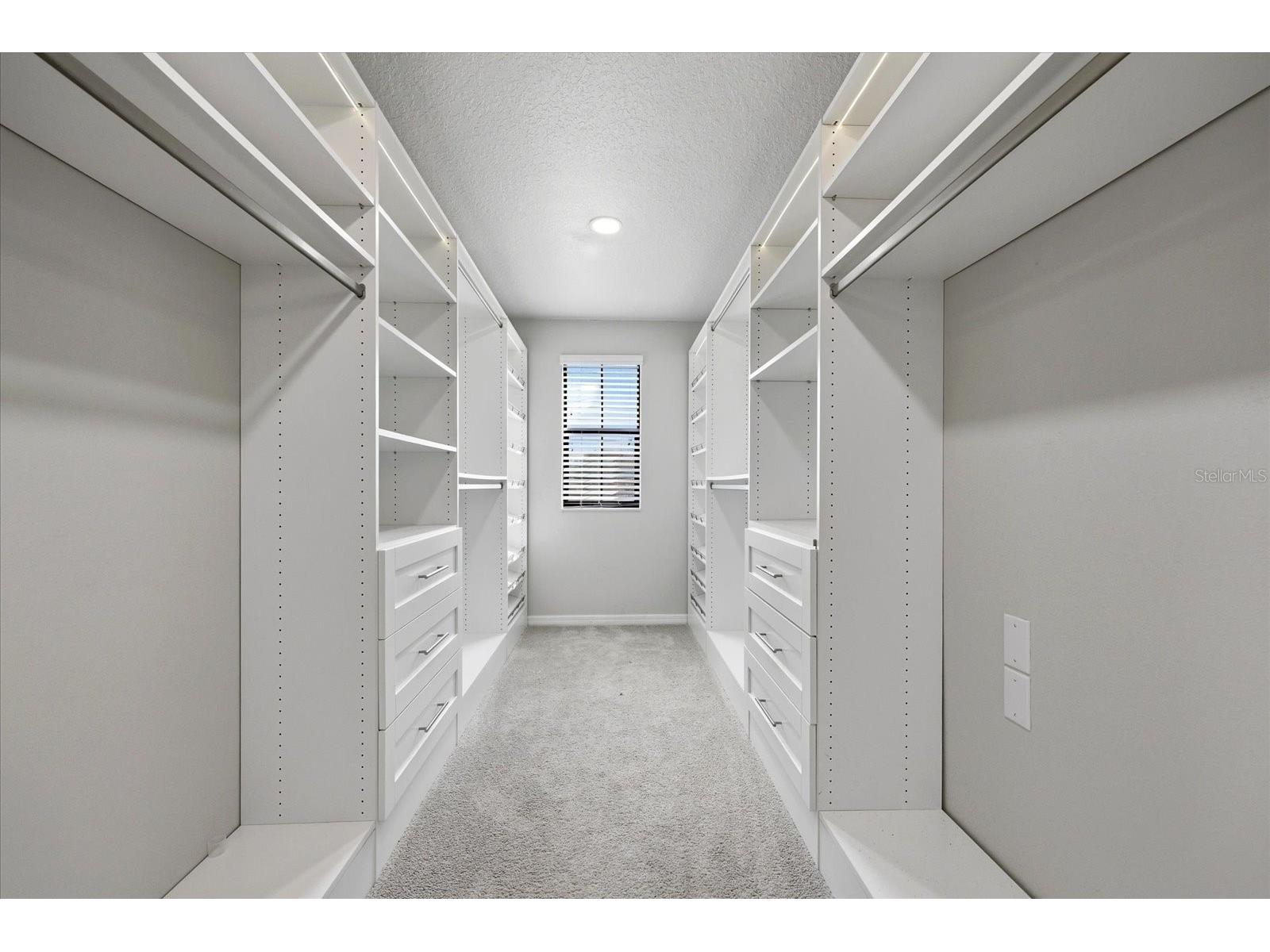 21223 Wistful Yearn Drive Land O Lakes FL 34637 TB8483283 image22