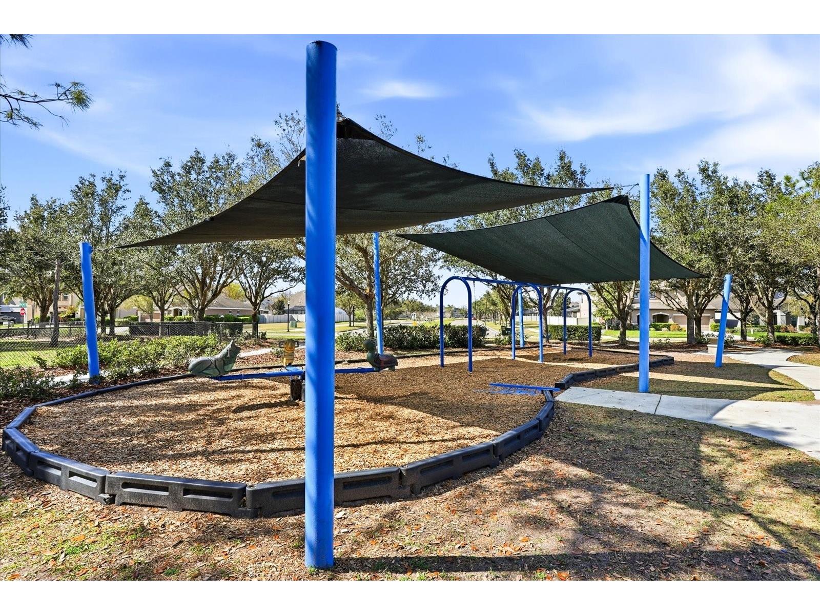 21223 Wistful Yearn Drive Land O Lakes FL 34637 TB8483283 image39