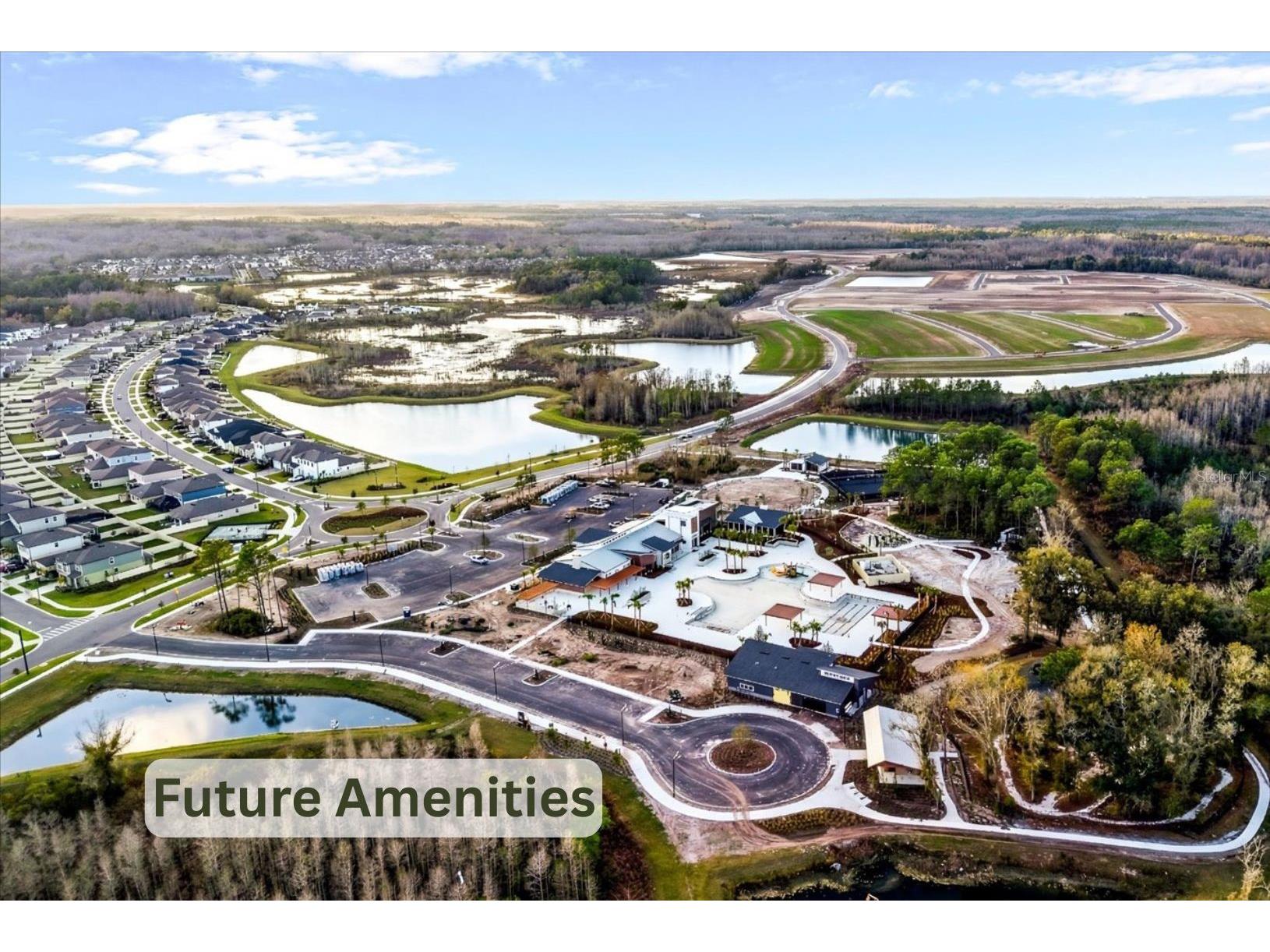 21223 Wistful Yearn Drive Land O Lakes FL 34637 TB8483283 image40