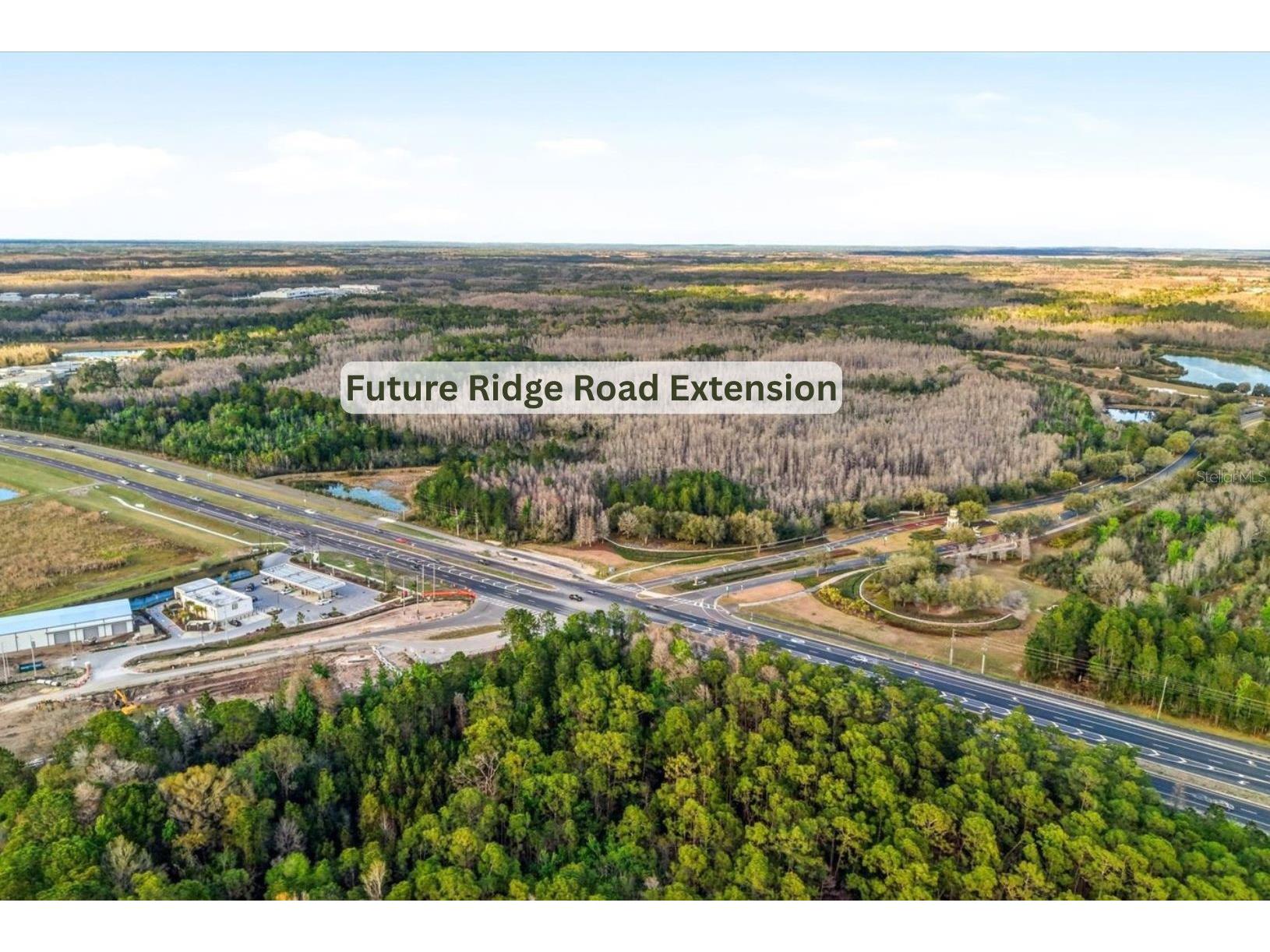 21223 Wistful Yearn Drive Land O Lakes FL 34637 TB8483283 image47