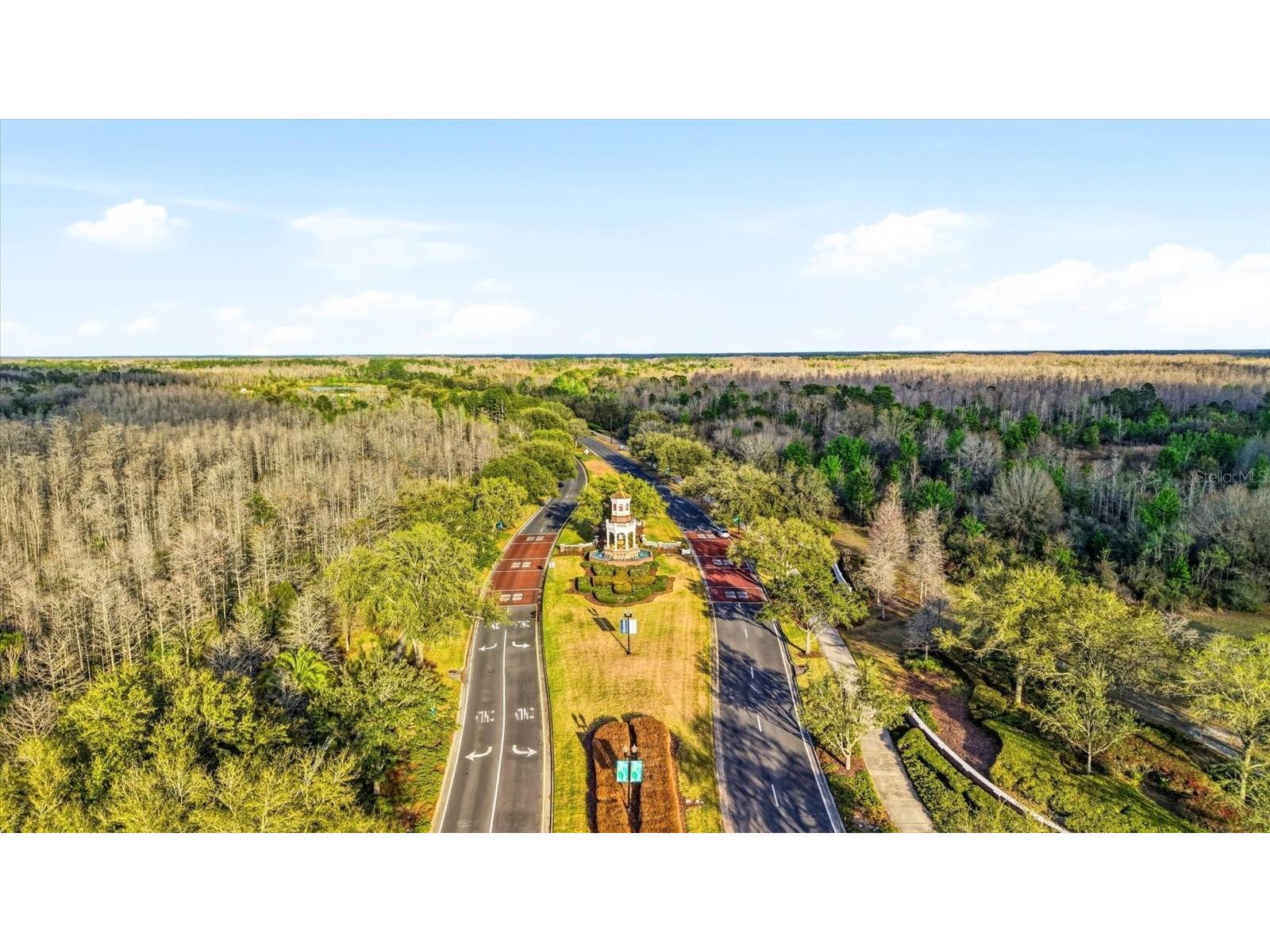 21223 Wistful Yearn Drive Land O Lakes FL 34637 TB8483283 image50