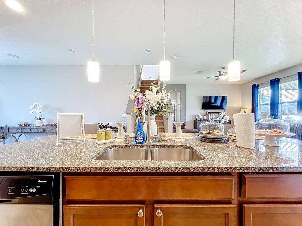 21224 Noric Cove Mount Dora FL 32757 P4936337 image22