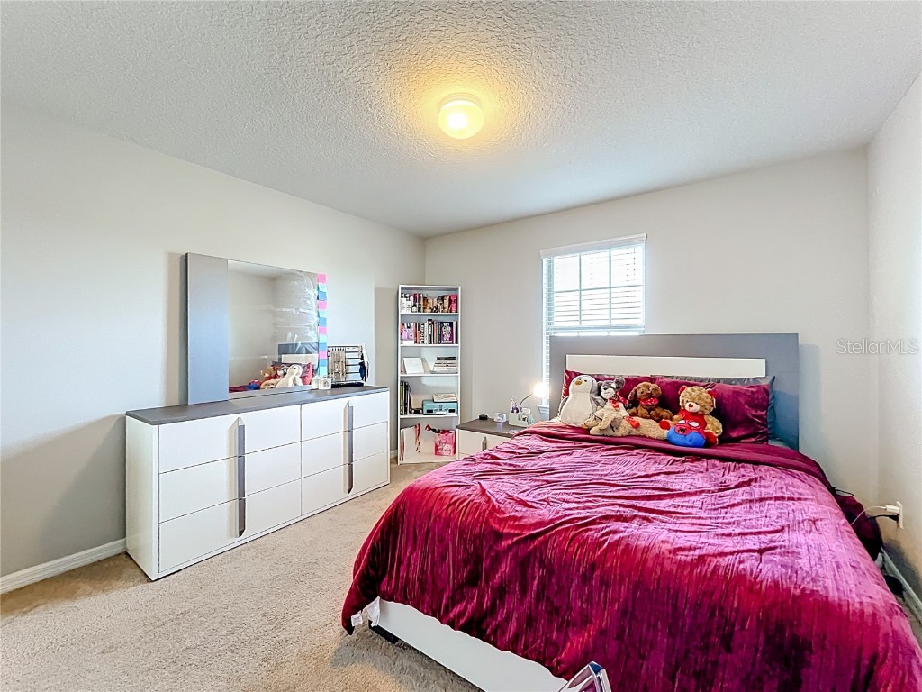 21224 Noric Cove Mount Dora FL 32757 P4936337 image34