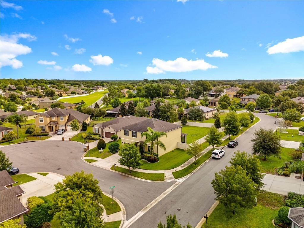 21224 Noric Cove Mount Dora FL 32757 P4936337 image4