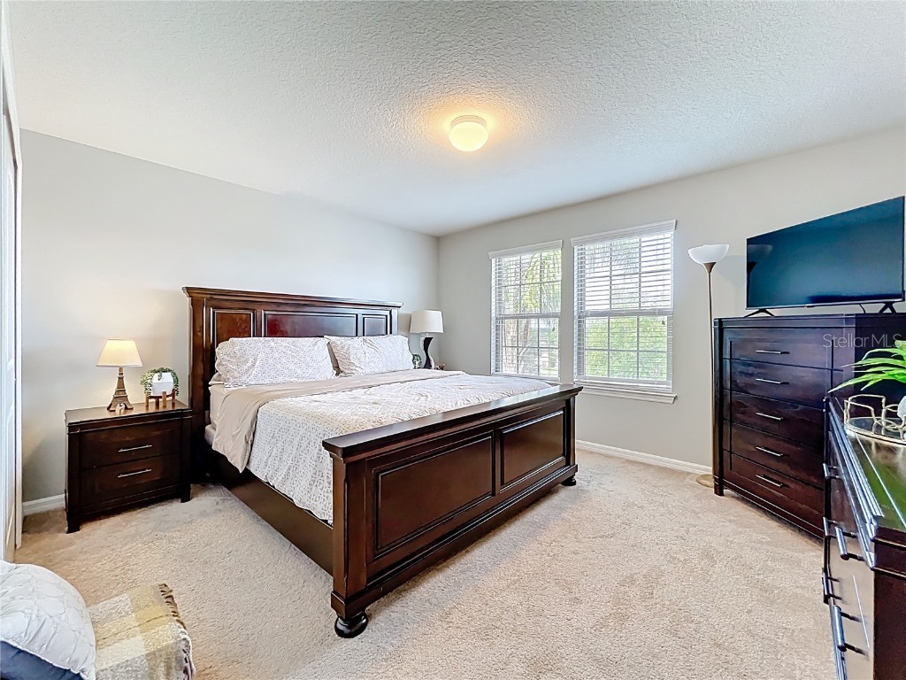 21224 Noric Cove Mount Dora FL 32757 P4936337 image40