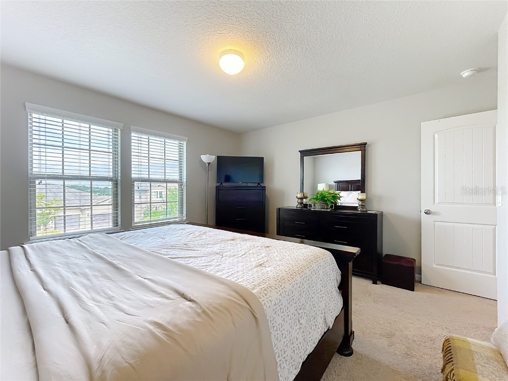 21224 Noric Cove Mount Dora FL 32757 P4936337 image41