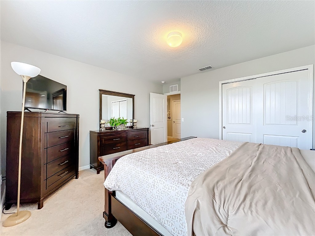 21224 Noric Cove Mount Dora FL 32757 P4936337 image42