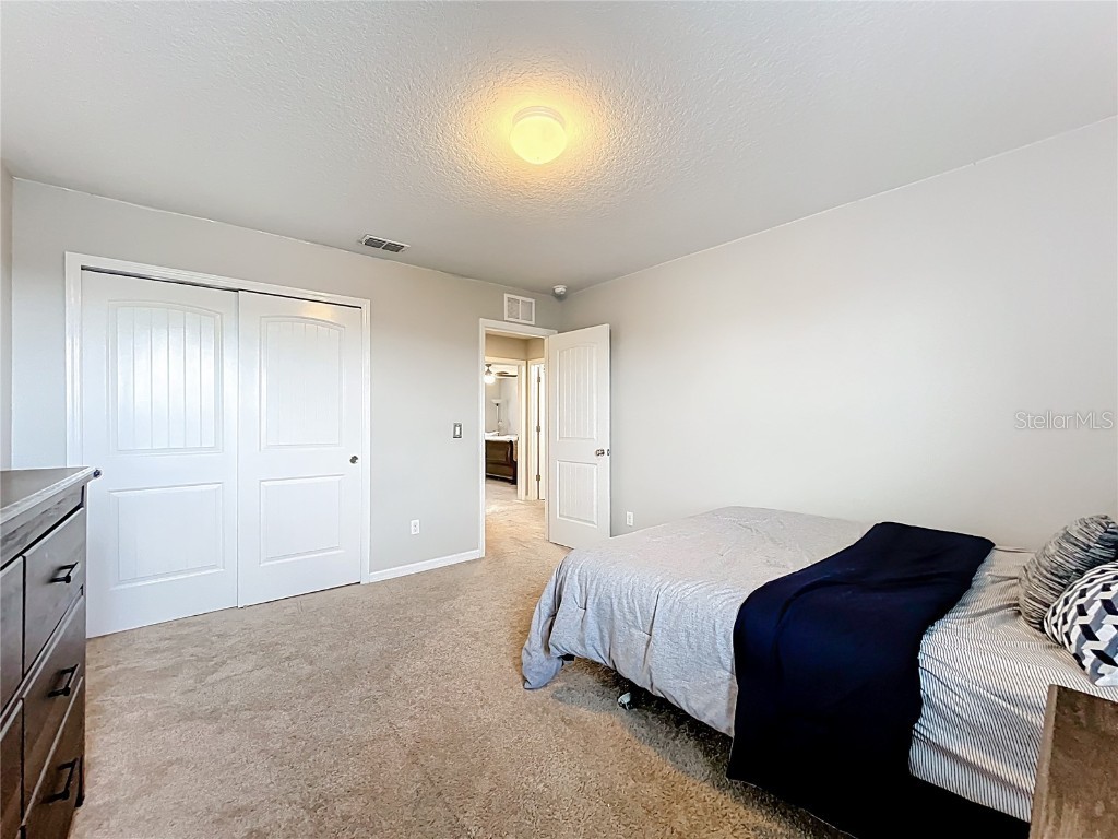 21224 Noric Cove Mount Dora FL 32757 P4936337 image46