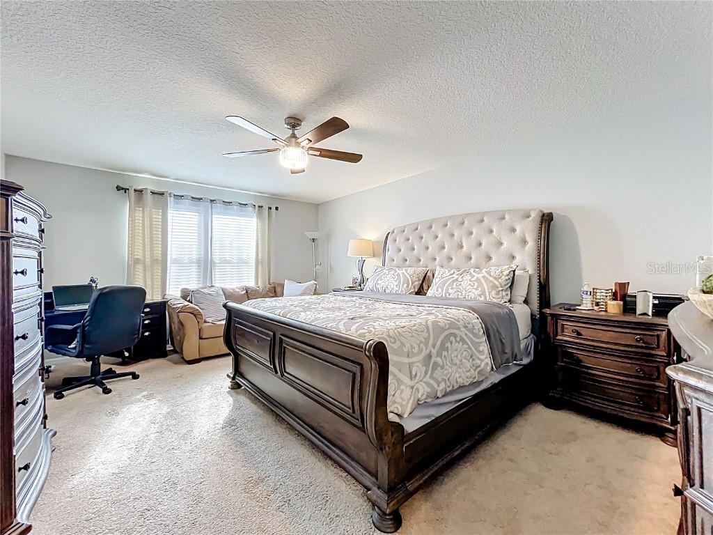 21224 Noric Cove Mount Dora FL 32757 P4936337 image49