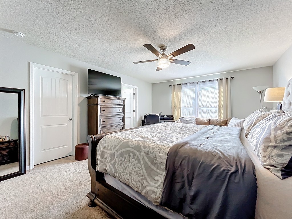 21224 Noric Cove Mount Dora FL 32757 P4936337 image50