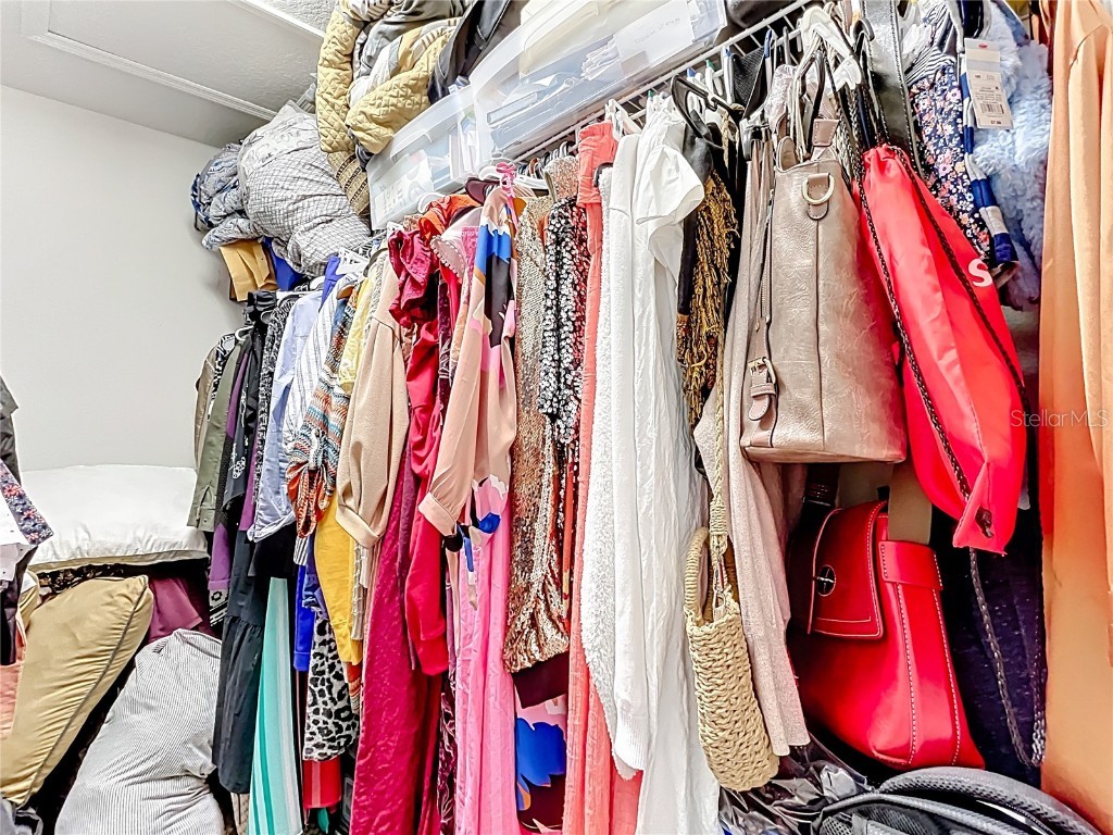 21224 Noric Cove Mount Dora FL 32757 P4936337 image53